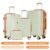 4pcs-Light Gray Green(Upgrade)
